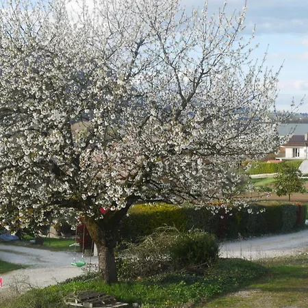 Cathy T2 エクスレバン