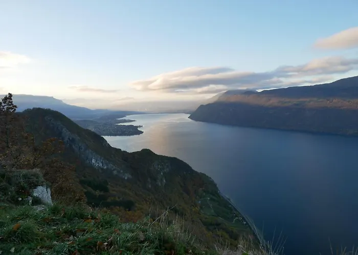 Cathy T2 アパート