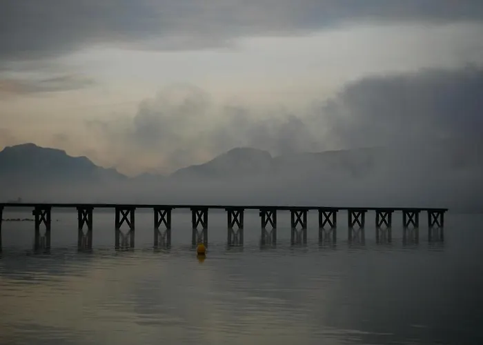 Cathy T2 * エクスレバン