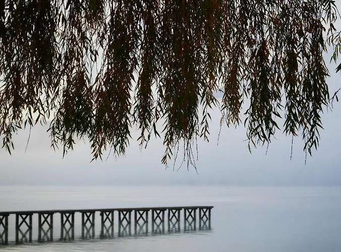 Cathy T2 * エクスレバン