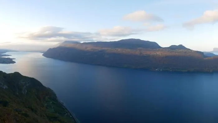 Cathy T2 アパート