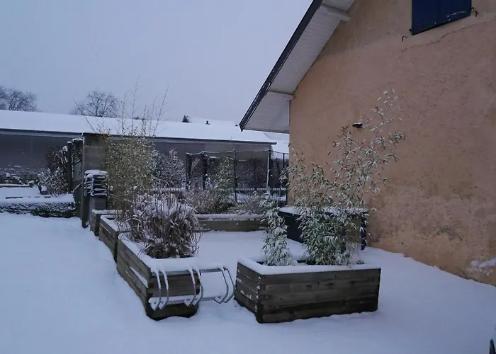 Cathy T2 アパート *