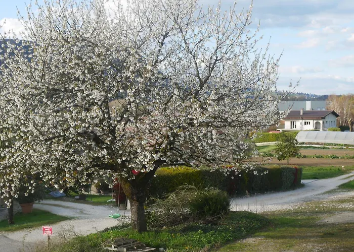 Cathy T2 エクスレバン